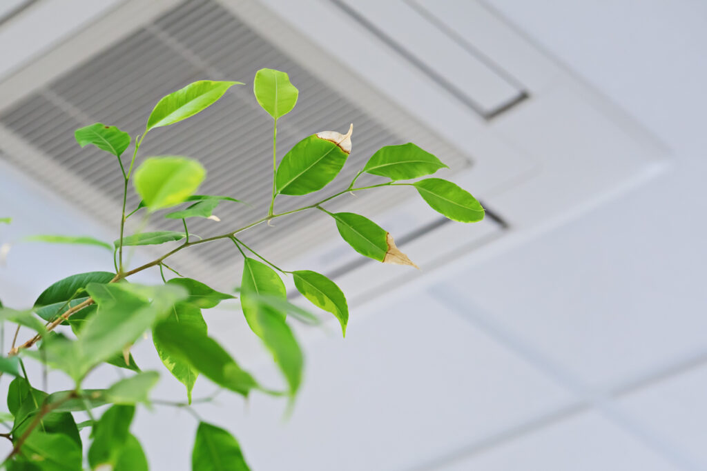 NSW Energy Rebate | energy rebate